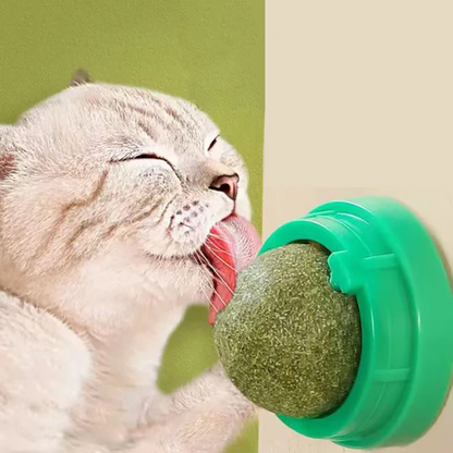 Catnip Ball