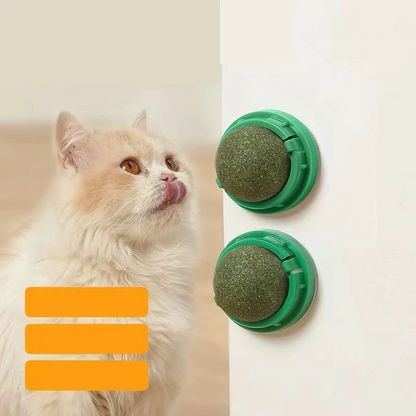 Catnip Ball