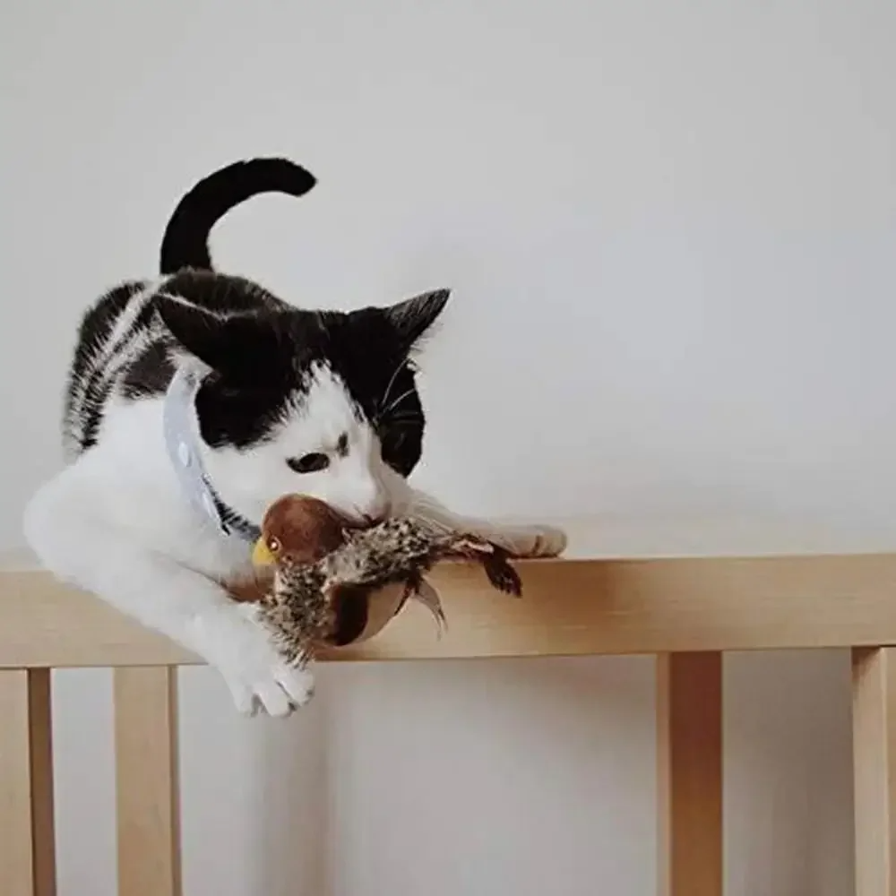 Chirping Flapping Cat Toy