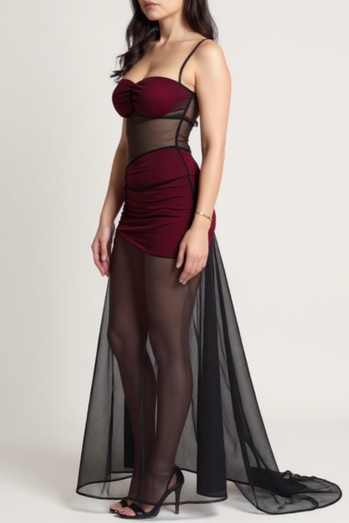 Serenity Élan Mesh Maxi Dress